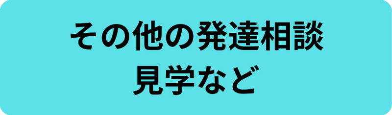 その他の発達相談、見学など