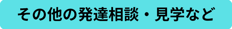 その他の発達相談、見学など